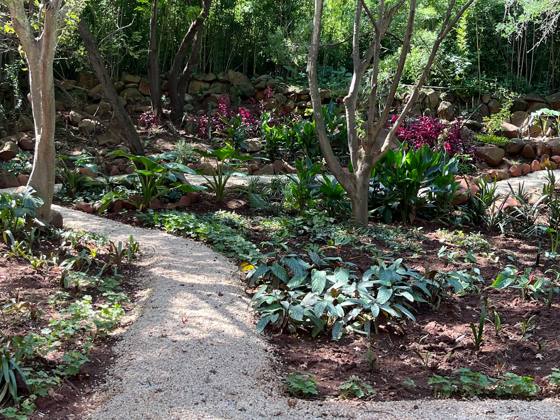 Garden path through the plantings