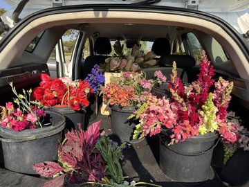 Vrag blomme