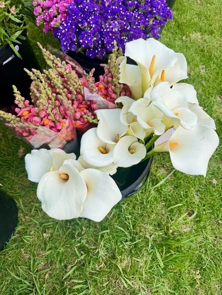 Package 3 — Bucket, any 26 stems